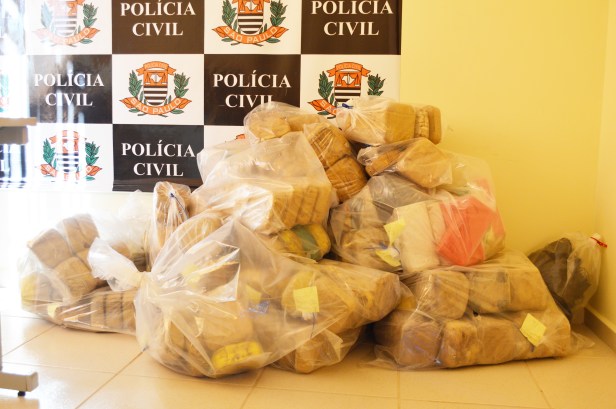 O entorpecente foi apreendido pela Polícia Civil e será incinerado